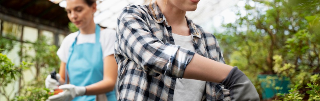 Zwei Frauen arbeiten in einem Gewächshaus.