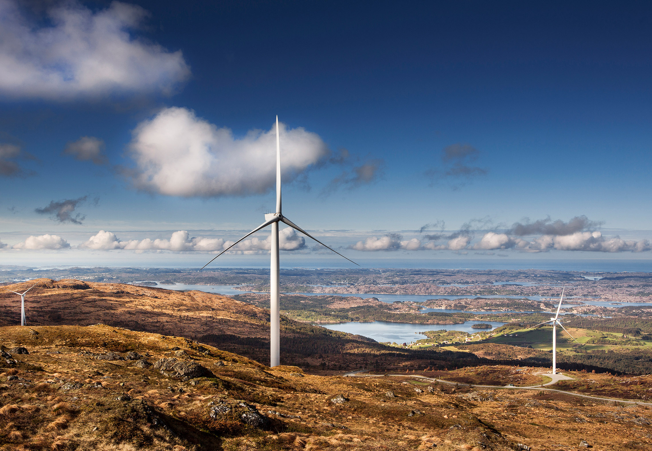 Windpark Tesla ⇒ Pangaea Life